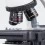 Motic BA210E Trinocular, Microscope, Phase Contrast (x40), 4 lenses