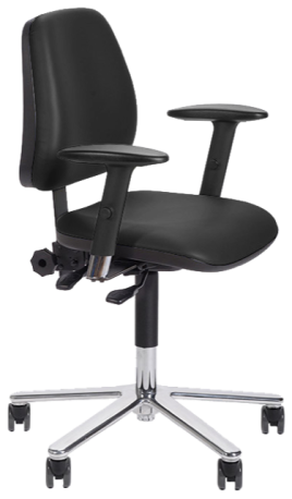 Evora work chair.