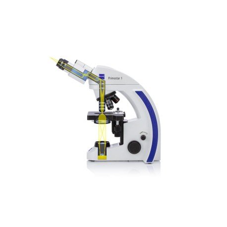 USED: Zeiss Primostar Microscope with phase contrast