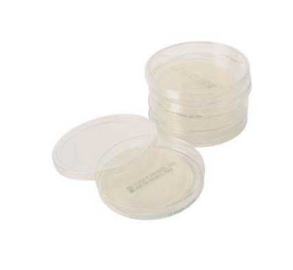 SensiPlate med Müller-Hinton agar