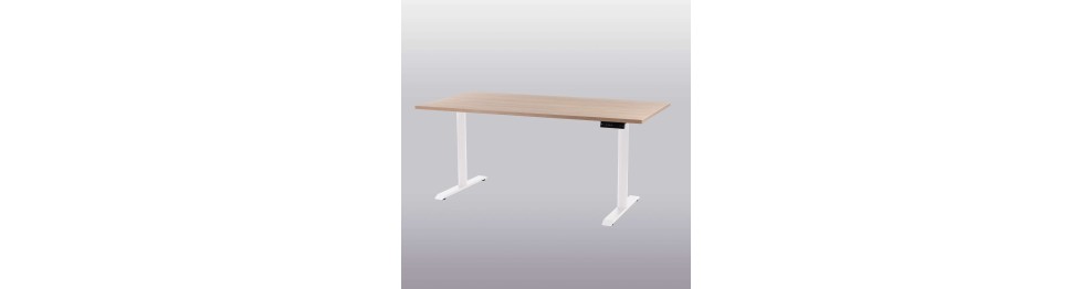 Sit Stand Desk