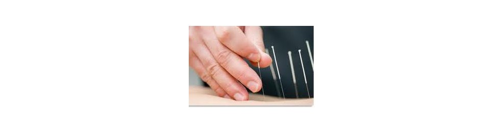 acupuncture Needles